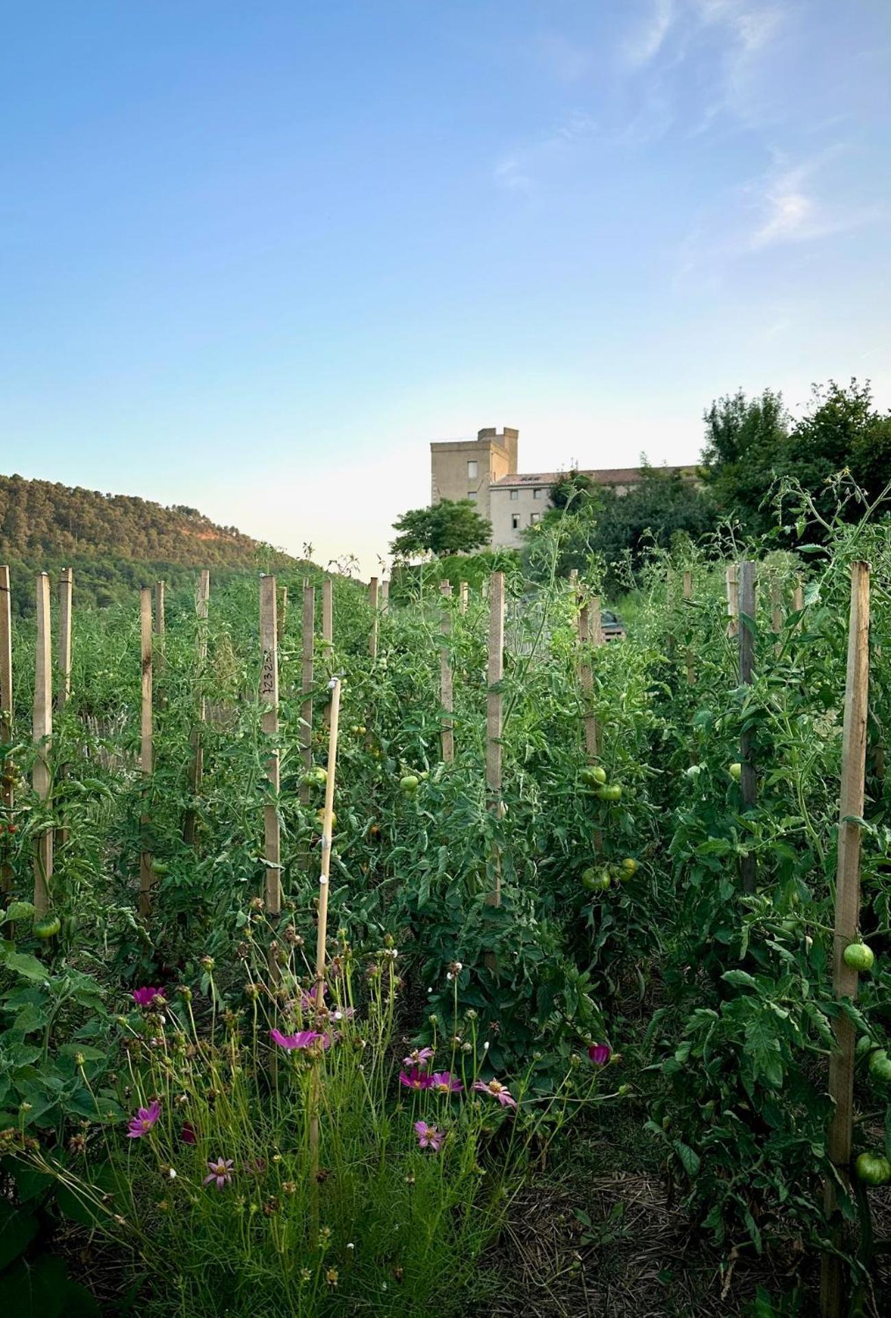 Domaine La Ferme Hi Bride Bed & Breakfast Villelaure Exterior foto