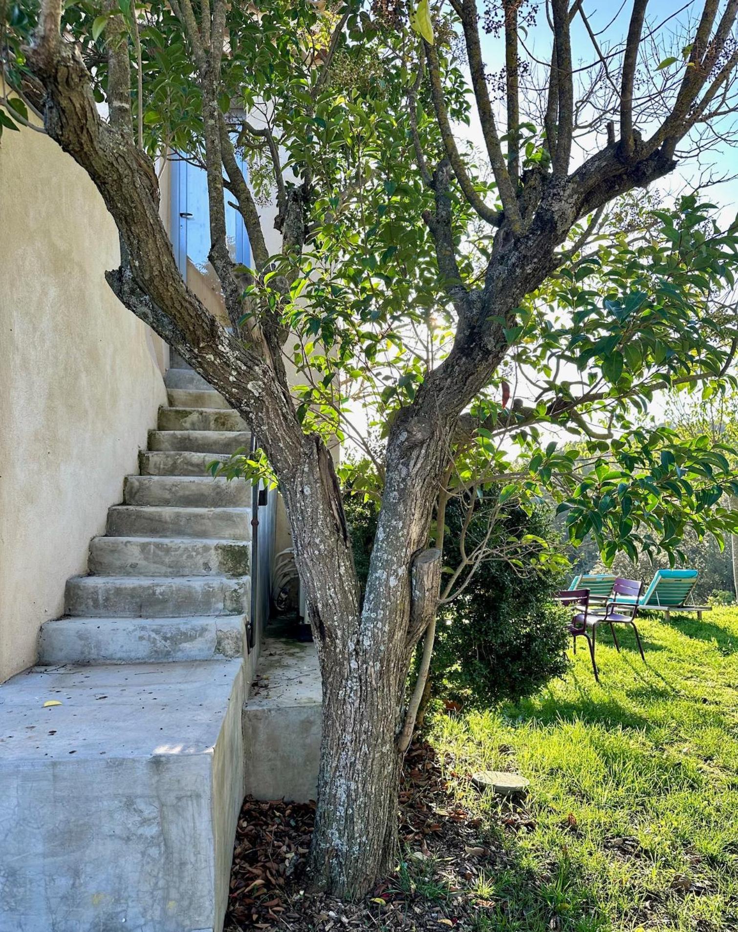 Domaine La Ferme Hi Bride Bed & Breakfast Villelaure Exterior foto